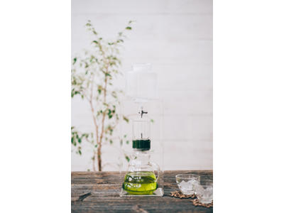 Hario Cold Water Dripper, klar